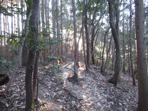 登山道